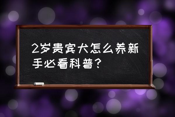 贵宾犬如何喂养 2岁贵宾犬怎么养新手必看科普？