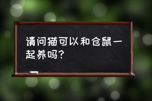 仓鼠可以和猫猫一同养吗 请问猫可以和仓鼠一起养吗？