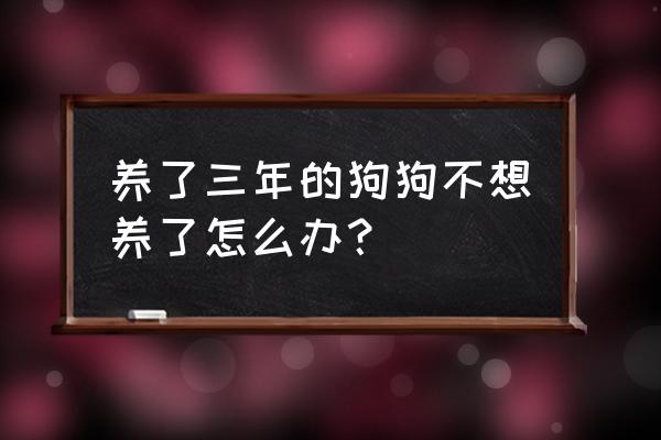 为什么柯基两年之后不想养了 养了三年的狗狗不想养了怎么办？