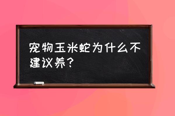 玉米蛇能养出感情吗 宠物玉米蛇为什么不建议养？