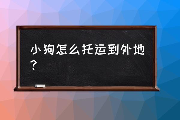 济宁宠物托运能到长岛县吗 小狗怎么托运到外地？