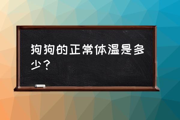 杜宾犬的体温多少 狗狗的正常体温是多少？