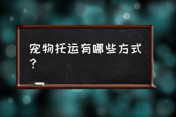 苏州宠物托运有哪些 宠物托运有哪些方式？