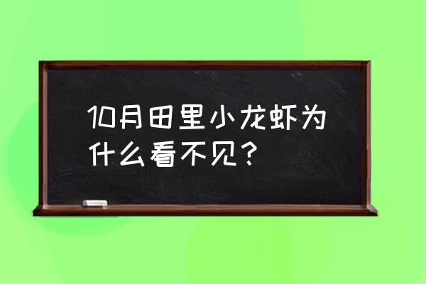 小龙虾田里有吗 10月田里小龙虾为什么看不见？