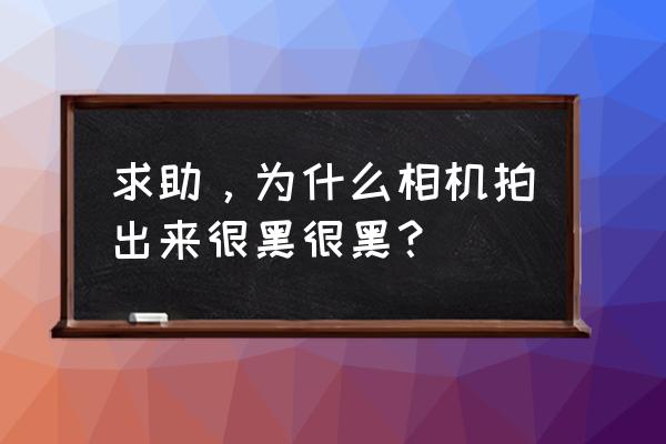 为什么照相机拍出来是黑色的 求助，为什么相机拍出来很黑很黑？