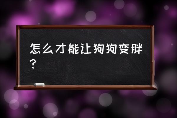 怎么把狗养的巨胖 怎么才能让狗狗变胖？