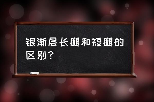 矮脚猫怎么繁殖的 银渐层长腿和短腿的区别？