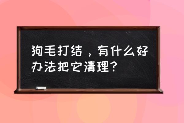 宠物毛怎么去除小妙招 狗毛打结，有什么好办法把它清理？