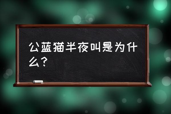 猫晚上突然叫怎么回事 公蓝猫半夜叫是为什么？