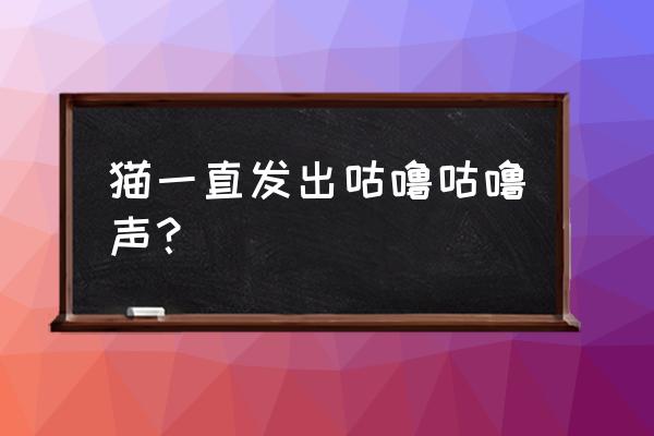 猫经常呼噜呼噜的是怎么回事 猫一直发出咕噜咕噜声？