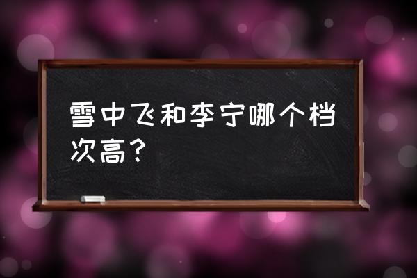 今冬流行男款羽绒服品牌 雪中飞和李宁哪个档次高？