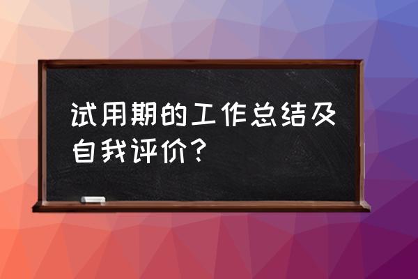 hr对于年终总结的建议 试用期的工作总结及自我评价？