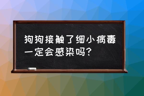 狗狗感染细小的几率高吗 狗狗接触了细小病毒一定会感染吗？