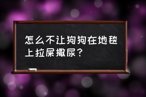 宠物尿地毯上怎么清理 怎么不让狗狗在地毯上拉屎撒尿？