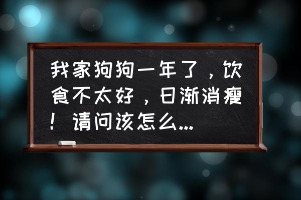 狗狗瘦但是精神好怎么办 我家狗狗一年了，饮食不太好，日渐消瘦！请问该怎么办？求解！???？