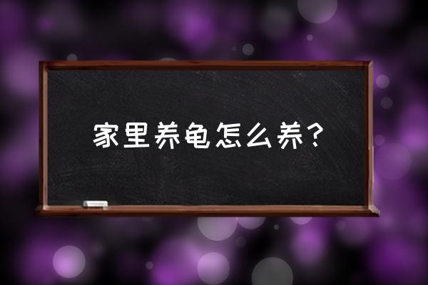 乌龟要怎么养才能养得很大 家里养龟怎么养？