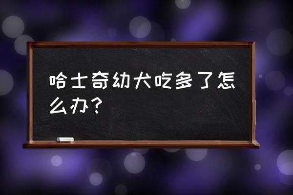 哈士奇幼犬要怎么训练吃饭 哈士奇幼犬吃多了怎么办？