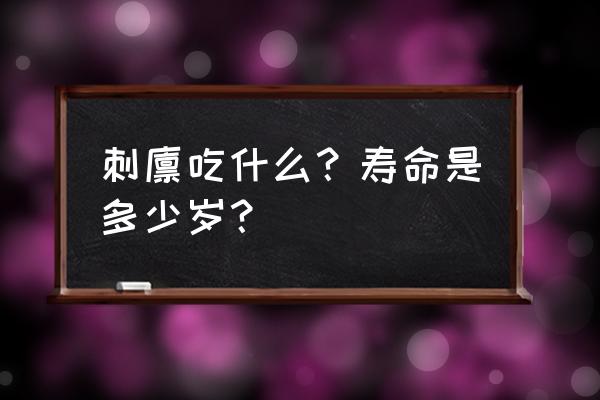 刺猬生病了就会死吗 刺猬吃什么？寿命是多少岁？