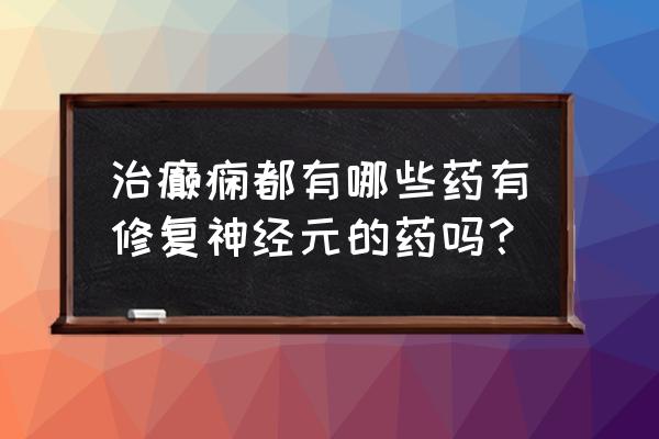 宠物癫痫一般吃啥药 治癫痫都有哪些药有修复神经元的药吗？