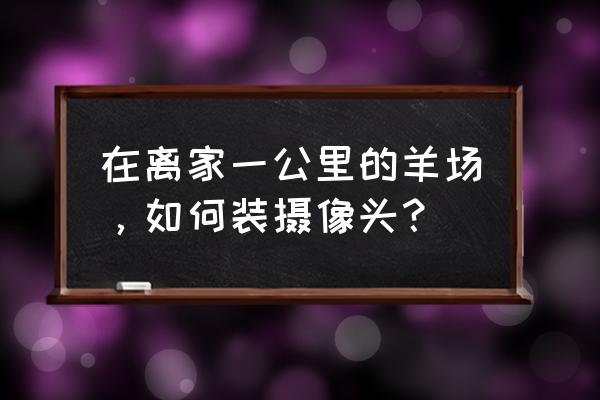 狗狗身上安装摄像头的步骤 在离家一公里的羊场，如何装摄像头？