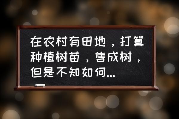 林业电商模式 在农村有田地，打算种植树苗，售成树，但是不知如何销售!怎样去找客户？