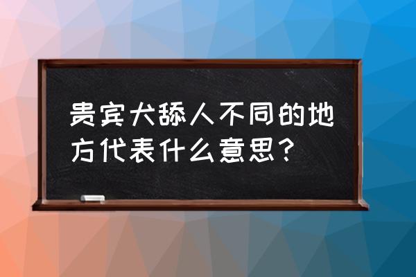 狗狗见面互相舔嘴什么原因 贵宾犬舔人不同的地方代表什么意思？