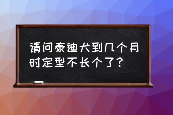 怎么判断泰迪是不是老了 请问泰迪犬到几个月时定型不长个了？