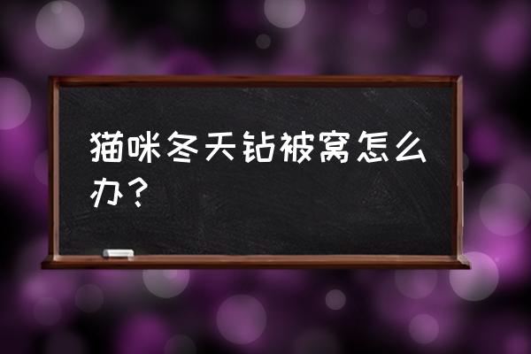 猫咪冬天喜欢钻被窝对人有害吗 猫咪冬天钻被窝怎么办？