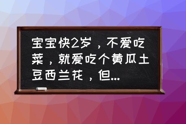 宝宝少吃多餐一般怎么安排 宝宝快2岁，不爱吃菜，就爱吃个黄瓜土豆西兰花，但是不能每天都吃这几样呀？该怎么办？