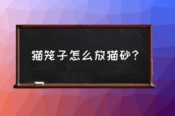 抓猫的笼子使用方法 猫笼子怎么放猫砂？