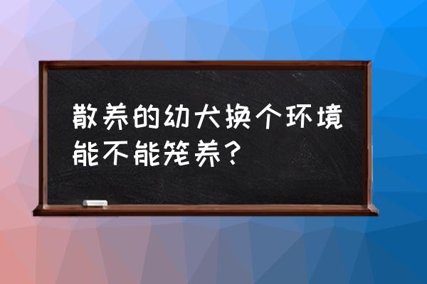 幼犬关笼子还是散养 散养的幼犬换个环境能不能笼养？