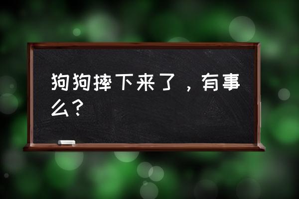 狗狗摔了怎么判断是否骨折 狗狗摔下来了，有事么？