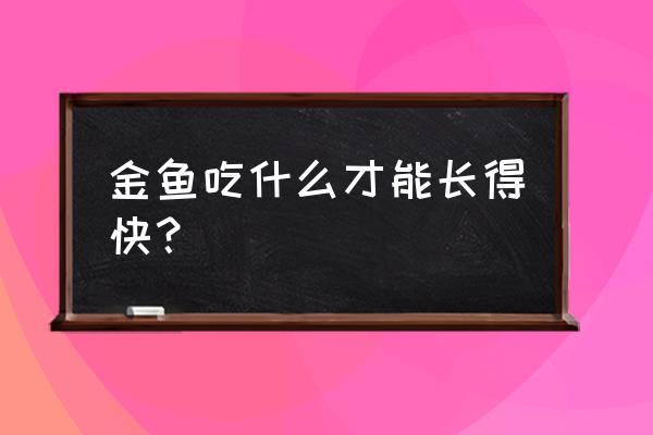 买金鱼买什么最好 金鱼吃什么才能长得快？