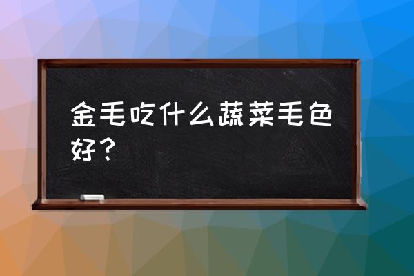 金毛吃蔬菜是生的还是熟的 金毛吃什么蔬菜毛色好？