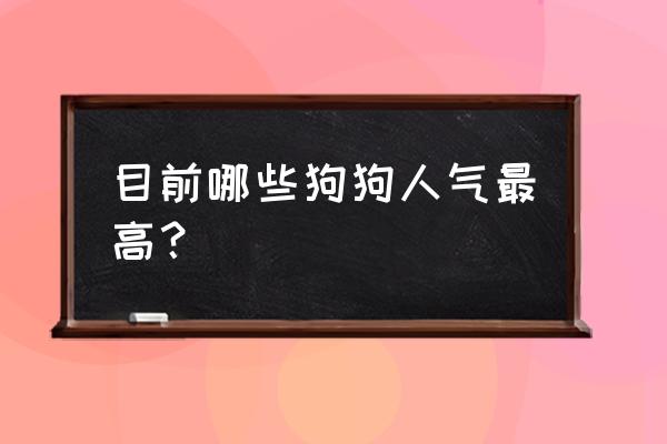 最适合的狗狗品种大全 目前哪些狗狗人气最高？