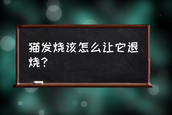 降温吃什么东西最好 猫发烧该怎么让它退烧？