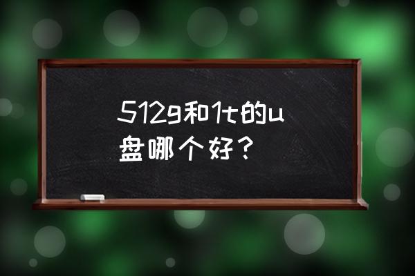 u盘一般买多大容量 512g和1t的u盘哪个好？