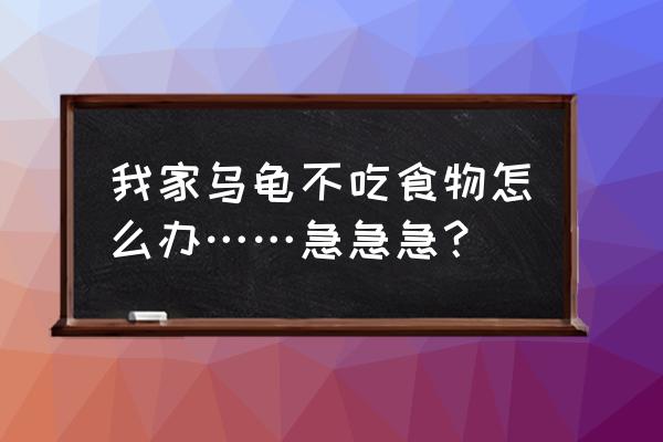 小乌龟怎么不吃东西该怎么办呢 我家乌龟不吃食物怎么办……急急急？