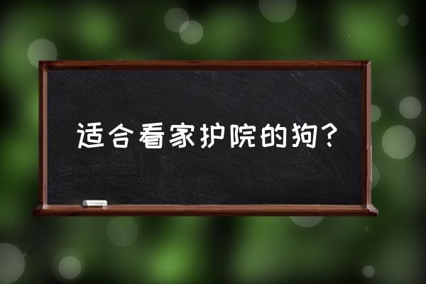 杜宾犬跟随训练怎么训 适合看家护院的狗？