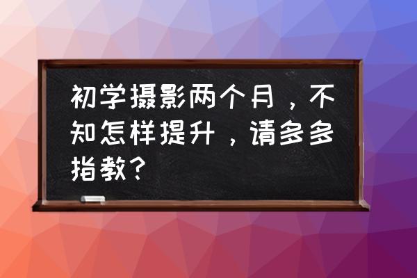 怎么训练自己的摄影眼 初学摄影两个月，不知怎样提升，请多多指教？