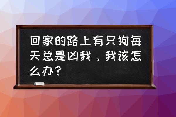 被狗追了应该怎么解决 回家的路上有只狗每天总是凶我，我该怎么办？