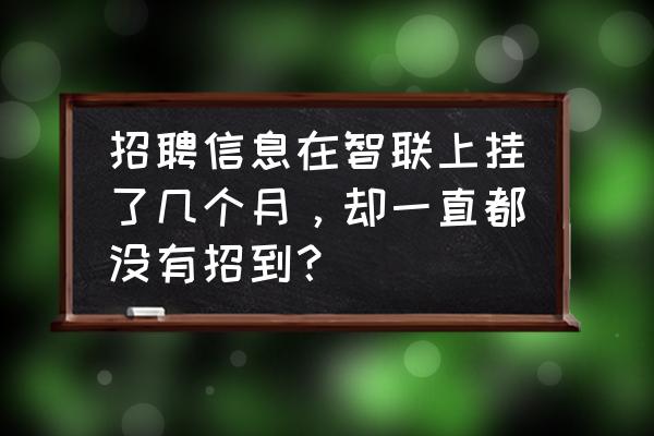 智联招聘上投递了简历多久有回复 招聘信息在智联上挂了几个月，却一直都没有招到？