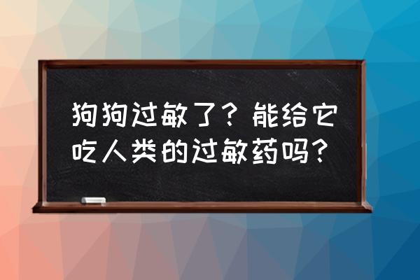 狗食物过敏自愈 狗狗过敏了？能给它吃人类的过敏药吗？