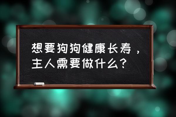 如何有效提高狗狗寿命 想要狗狗健康长寿，主人需要做什么？