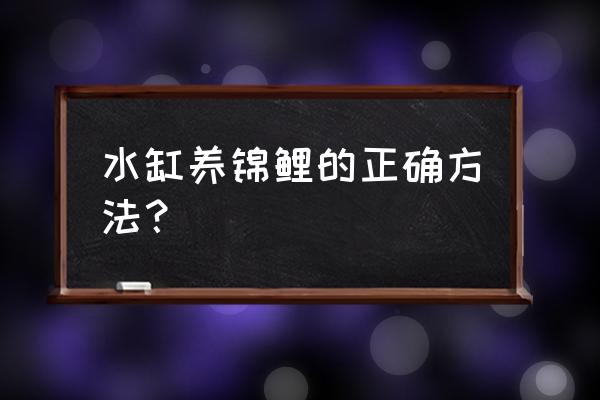 锦鲤的正确喂养方法 水缸养锦鲤的正确方法？