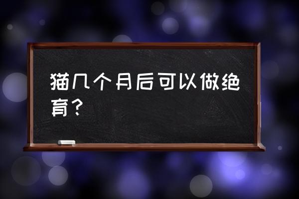 猫猫绝育的最佳时间 猫几个月后可以做绝育？