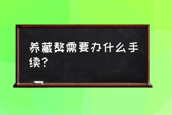 怎么识别藏獒 养藏獒需要办什么手续？