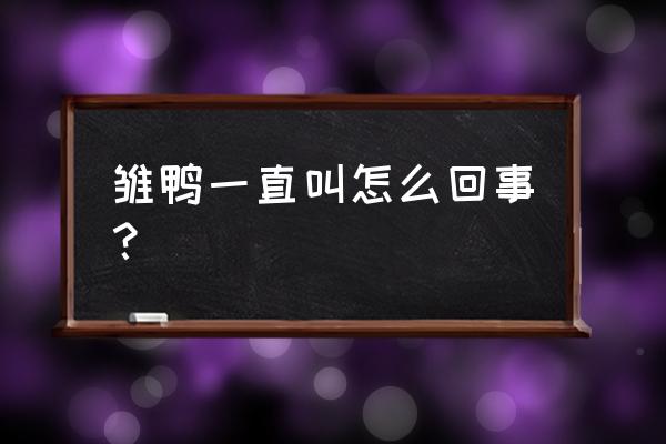 小鸭子洗完澡一直叫怎么办 雏鸭一直叫怎么回事？