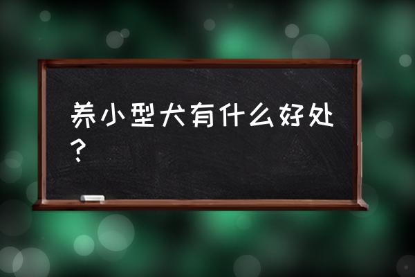 儿童养宠物的好处 养小型犬有什么好处？