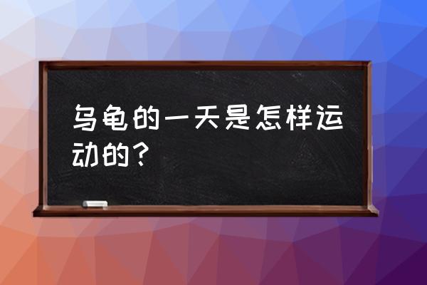 小乌龟的作息时间 乌龟的一天是怎样运动的？